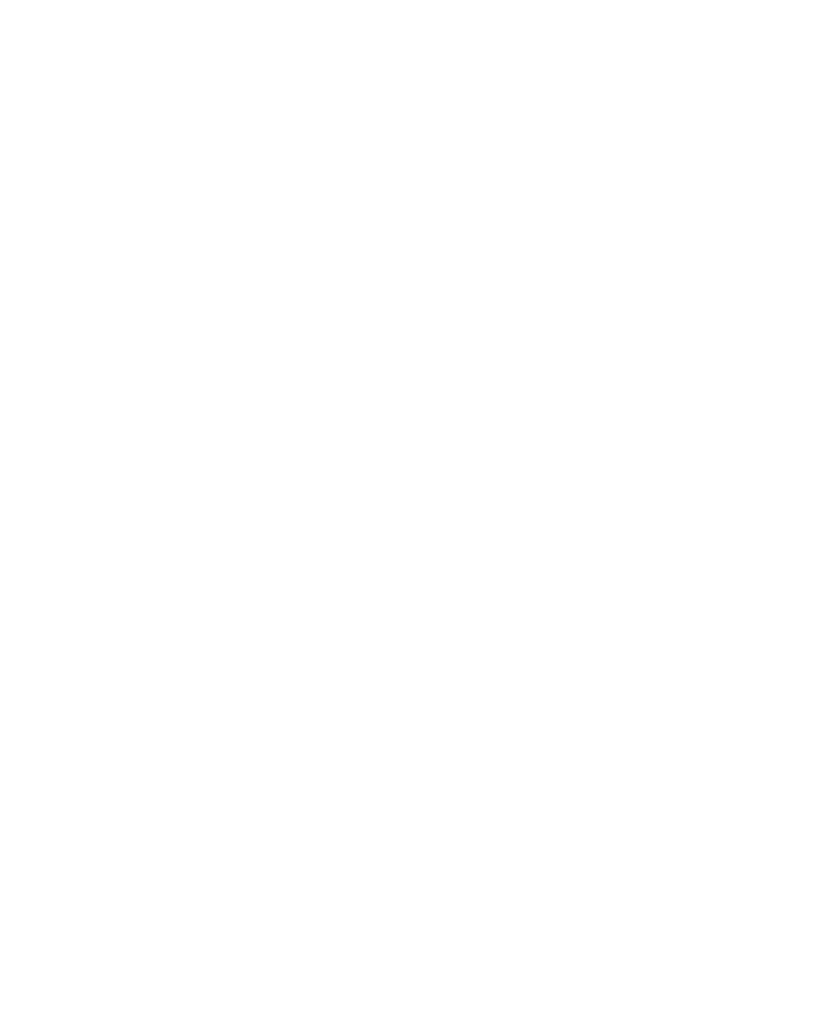 Icon einer fröhlichen Einkaufstasche